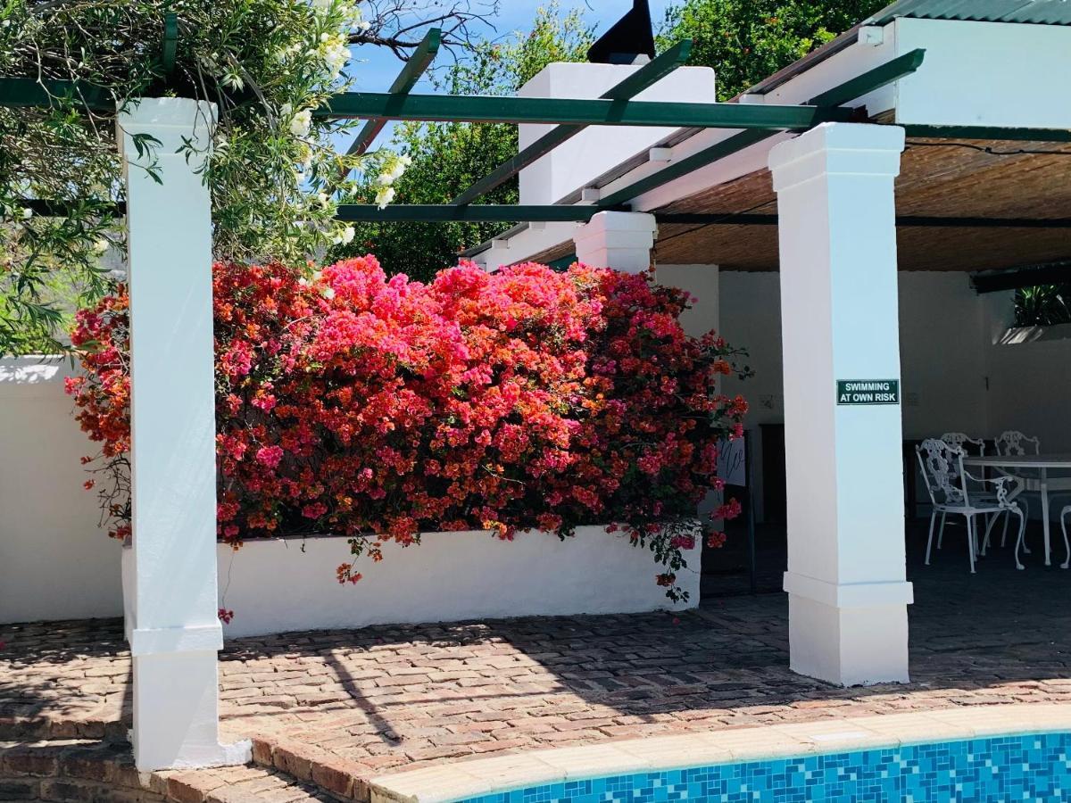 De Wingerd B & B Graaff Reinet Luaran gambar